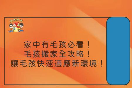 家中有毛孩必看！毛孩搬家全攻略！讓毛孩快速適應新環境！